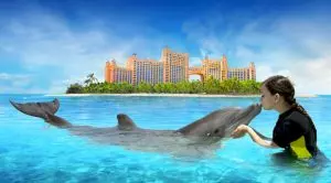 PokerStars Championship Bahamas Is All Primed to Kick Off