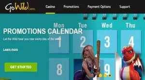New GoWild Casino Platform Goes Live with over 15 Software Providers