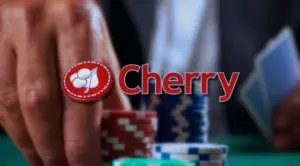 Cherry Appoints New CEO amid Strong 2016 Q4 and Full-Year Performance