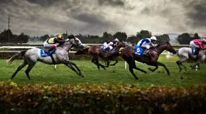 Major Racing Industry Reform to Be Rolled Out in New Zealand at the Beginning of 2020