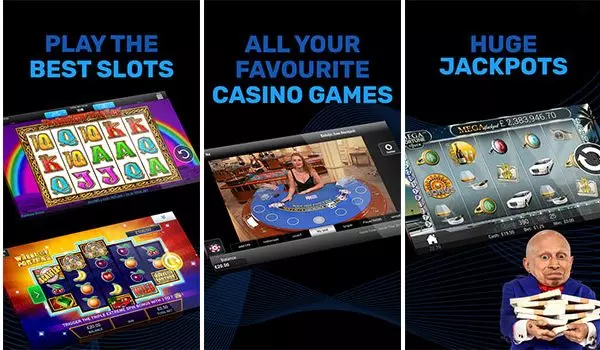 bgo casino app background