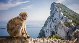 No-Deal Brexit Could Cause Turmoil in Gibraltar’s Gambling Sector, Government Says