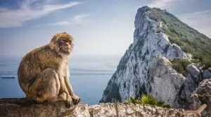 CJEU Rules Against Gibraltar in Remote Gambling Tax Dispute with the UK