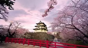Japanese Government Plans Special Measures to Limit Casino Visits