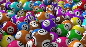 RSPCA Faces Questions about Its Spending of Weekly Lottery Proceeds