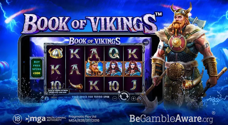 Book of Vikings