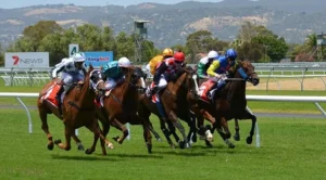 BGC Celebrates Members’ £105m Contribution Towards Horserace Betting Levy