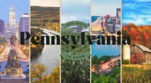 Pennsylvania Skill-Game Machines Face Statewide Removal Deadline Amid Legal Shakeup