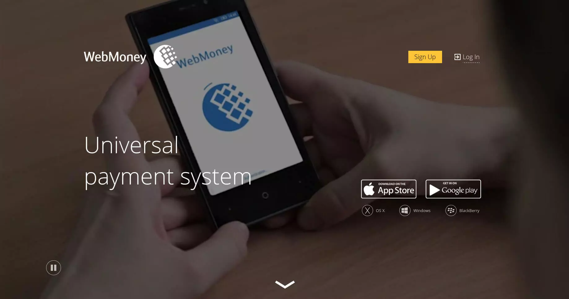 webmoney overview